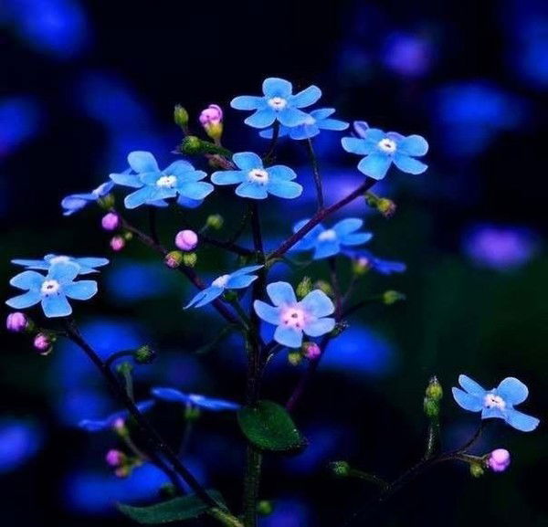 Айгуль Тукешева