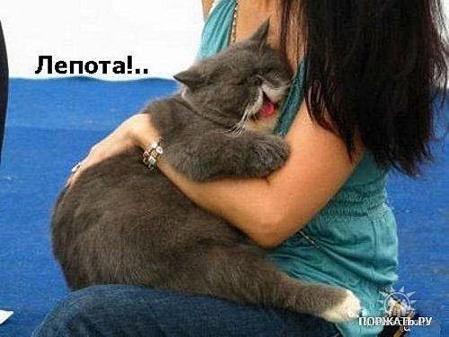 Сергей Александрович