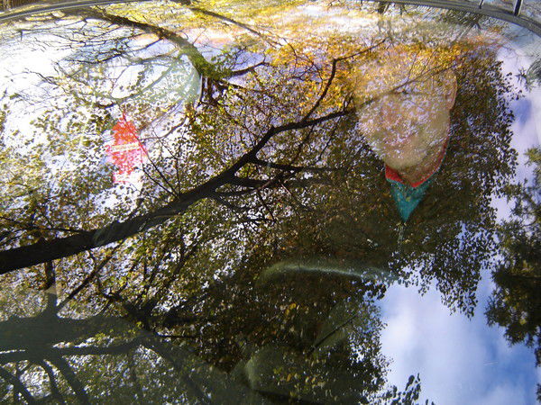 Аркадий Сова