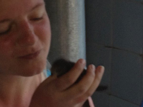 Анжела Козлова