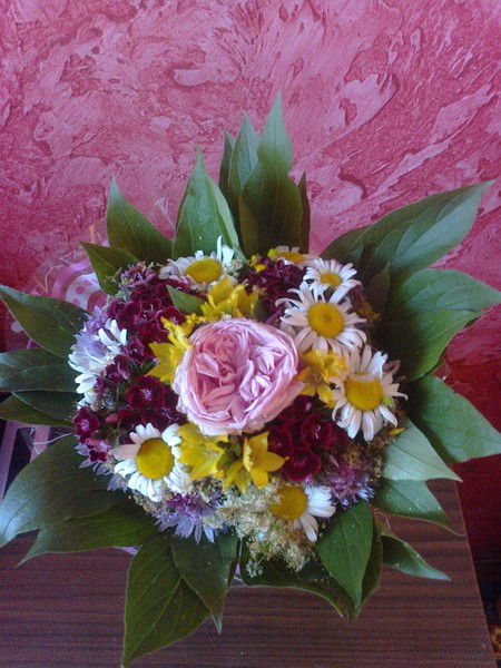 Наталья Стариченкова