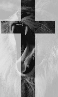 Анастасия Запорожская