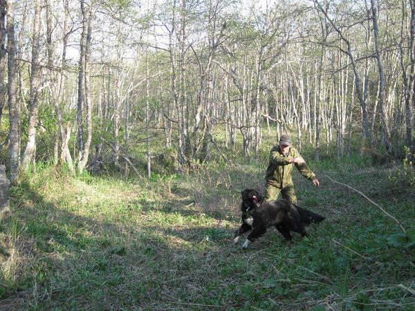 Тарасов Александр