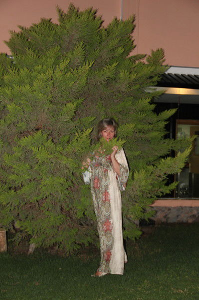 Виктория Алексеева