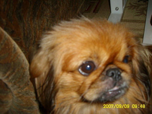 Любовь Мельник