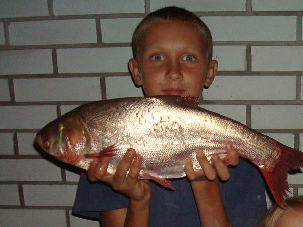 Дима Свердленко