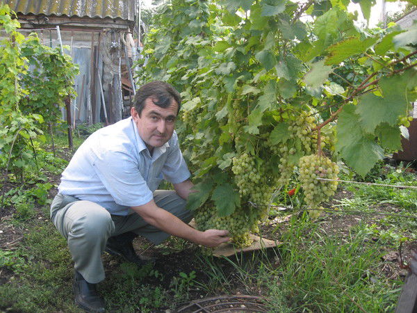 Александр Васильев