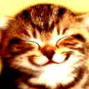 Oiitumuct )