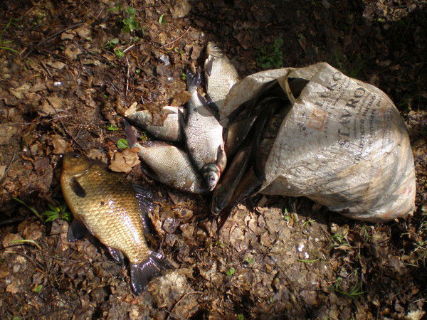 Керамический Стиль