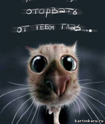 Рустем Закиров