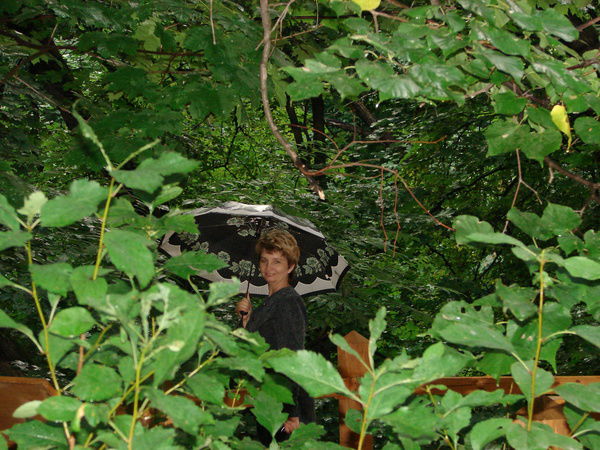 Анна Сличенко