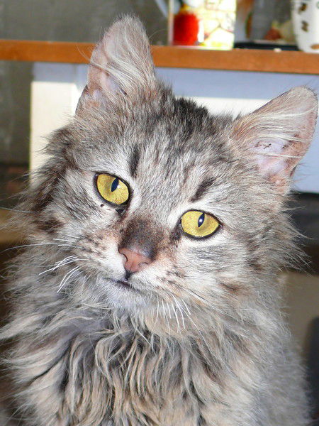 Драганский Виктор