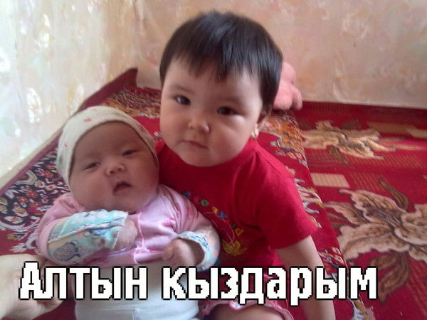 Мээримбек Жолоев