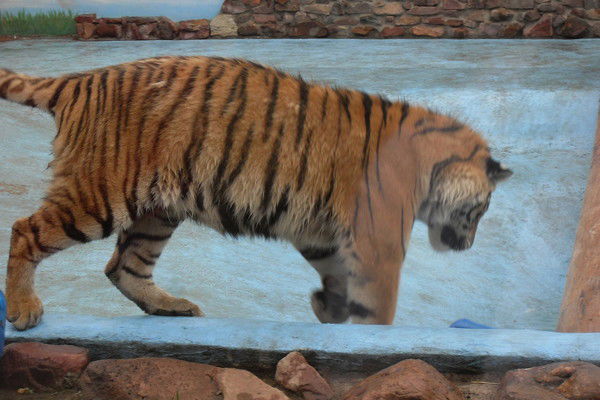 Виктория Казакова (Юлова)