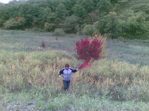 Марина Колпакова