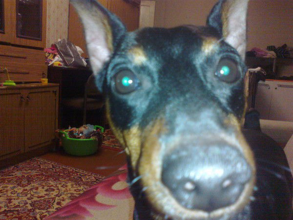 ????????? ///?????????????