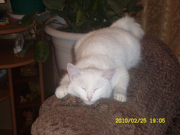 Юлия Конькова