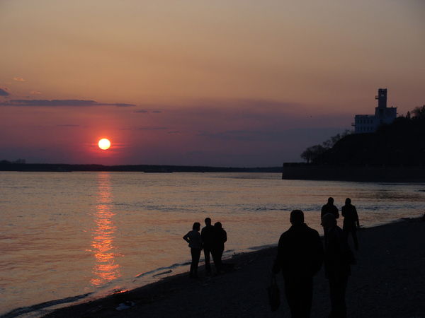 Анастасия Виноградова
