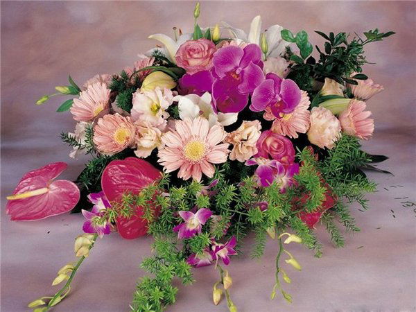 Альбина Абдульманова20