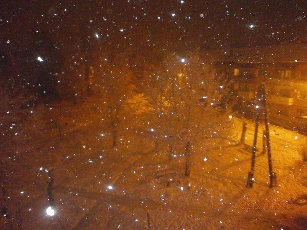 Татьяна Попроцкая