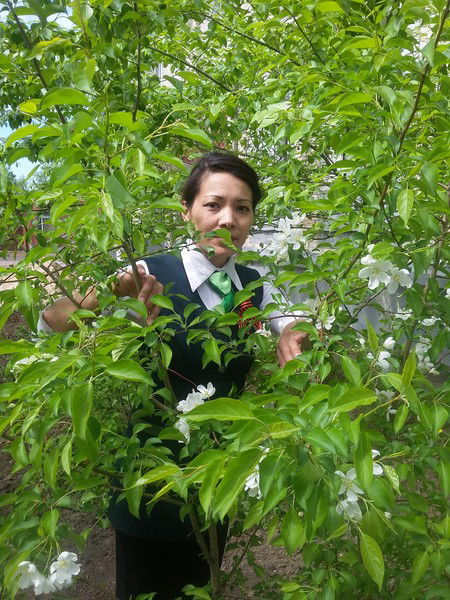 Салтанат Салтанат