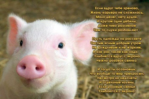 Вова Незабудкин