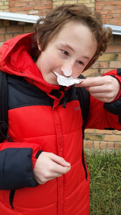 Илья Голдобин