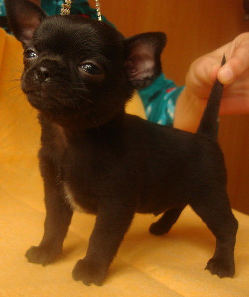 Марина Смирнова