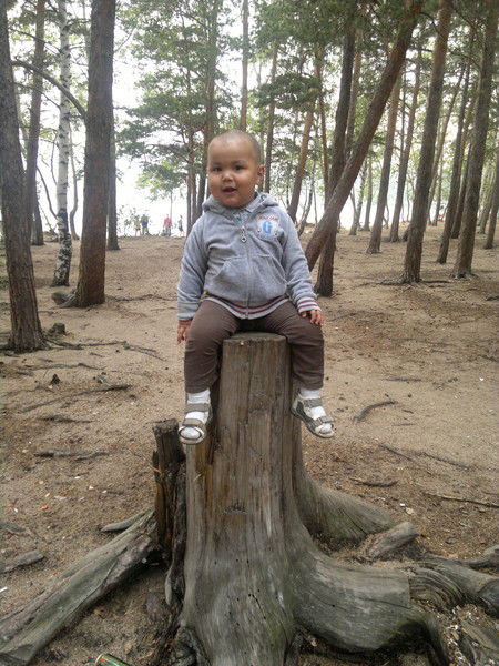 Айгерим Шагирова