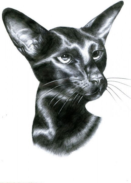 Зинаида Борох