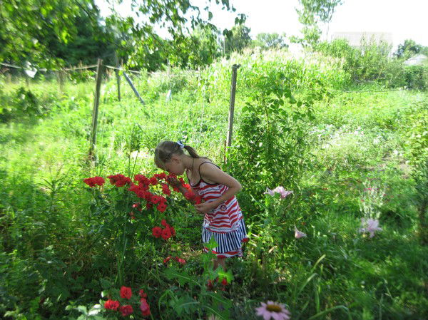 Лиза Безкровная