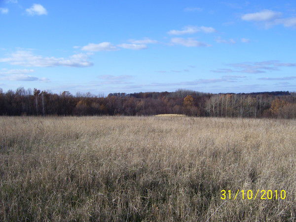 Елена Трофимова