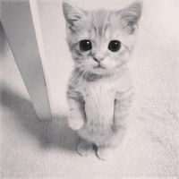 Саня Болдыш