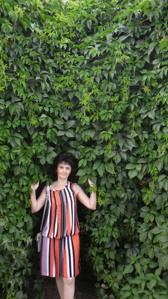 Светлана Сафронова