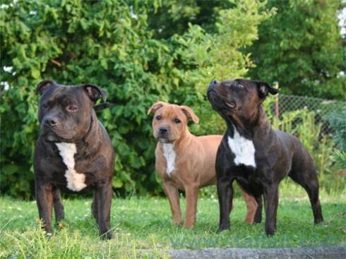 Артём Макаров