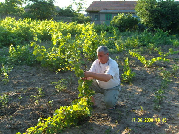 Федор Кыльчик