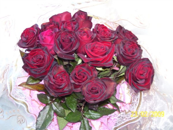 Жазира Жузбаева