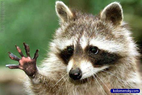 Евгений Крицкий