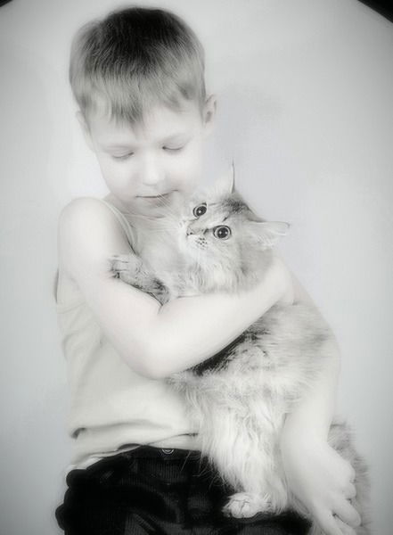 Владимир Данилов