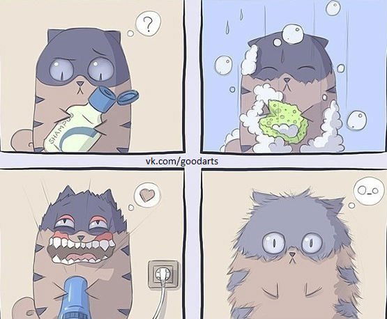 Анастасия Попова