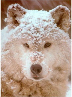 Вадим Бондаренко