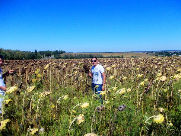 Раис Мухамедов