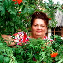 Светлана Медникова