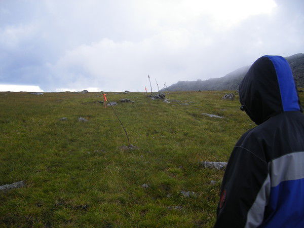 Вова Кривой