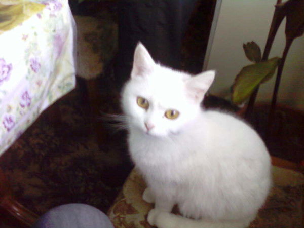 Татьяна Жук