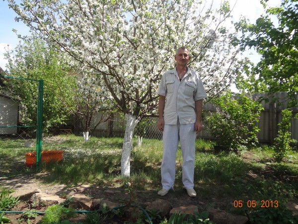 Владимир Сорокин