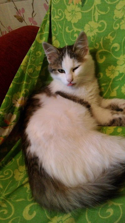 Маша Митрофанова