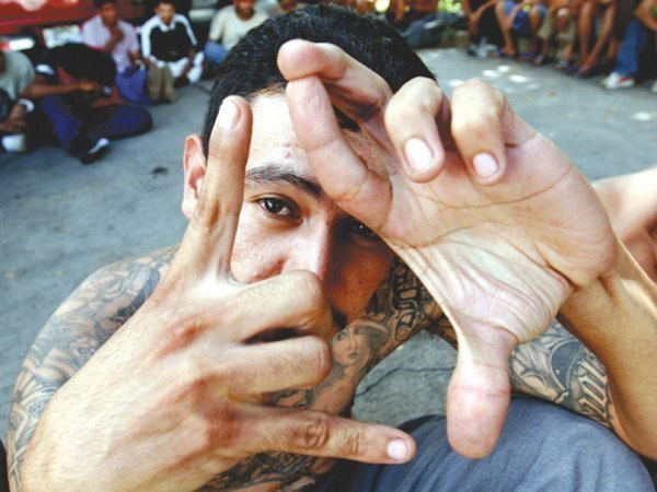 Влад Лисицын