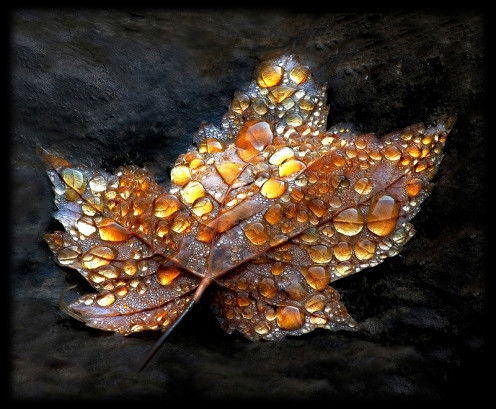 Анна Несносная