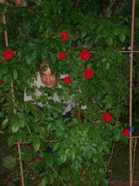 Сергей Никифоров